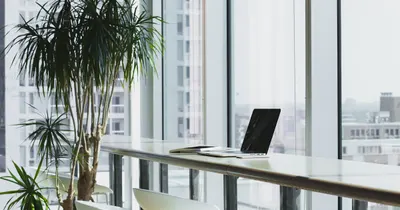 Espaço de trabalho organizado com vista, representando o olhar estratégico sobre o consultório