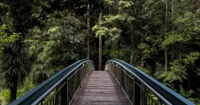 Ponte de madeira em meio à natureza, simbolizando um percurso